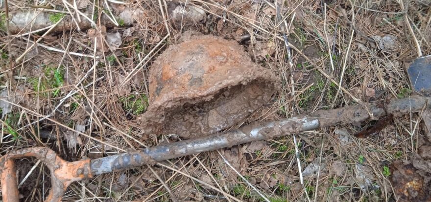 В Тверской области нашли останки немецких солдат останки