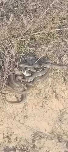 В Тверской области