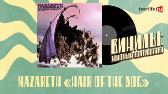 Винилы: Альбом про «собачью шерсть» шотландской рок-группы Винилы