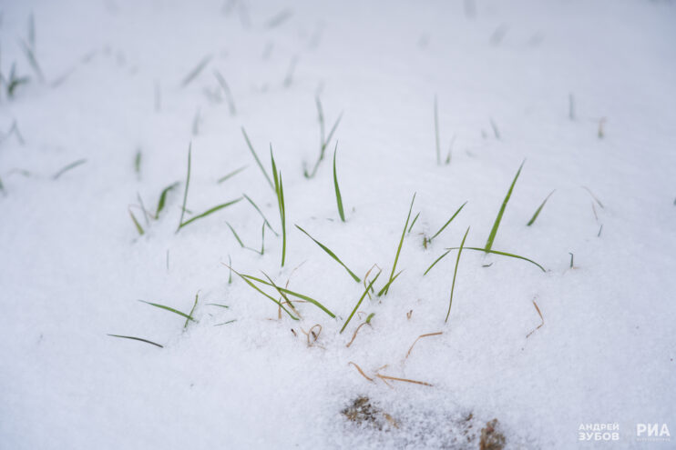 Тверской области
