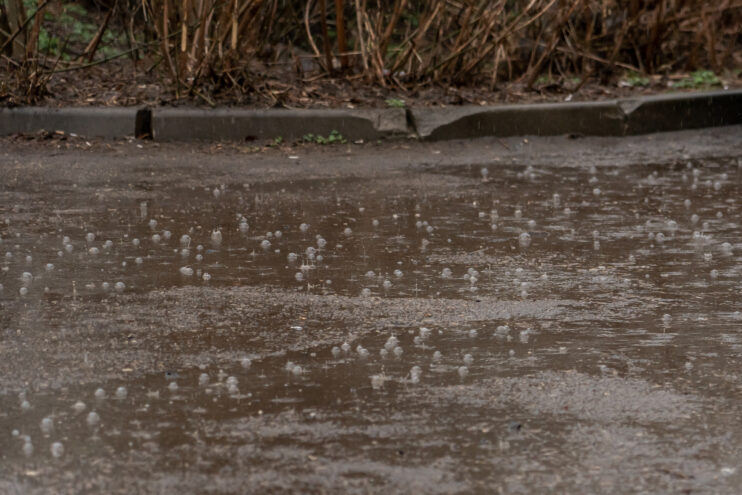 Дождь в Тверской области будет идти целый день Дождь