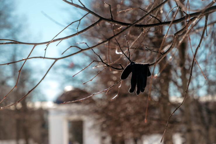 Жителей Тверской области ждёт последний холодный день в апреле Тверской области