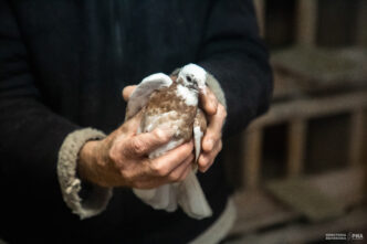 Первом канале