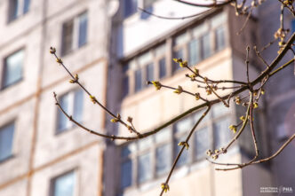 В Тверской области сохраняется двадцатиградусное тепло Тверской области