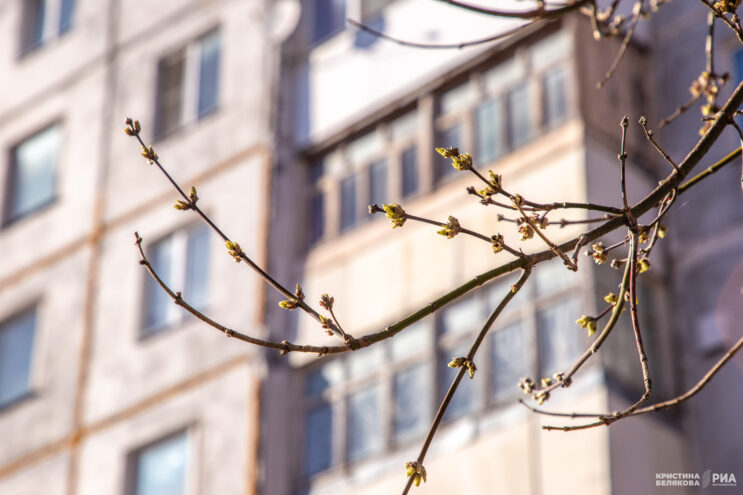 В Тверской области сохраняется двадцатиградусное тепло Тверской области
