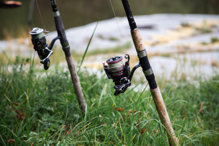 Тверской области