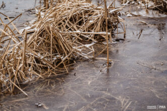 МЧС: в Тверской области похолодает до -8° МЧС