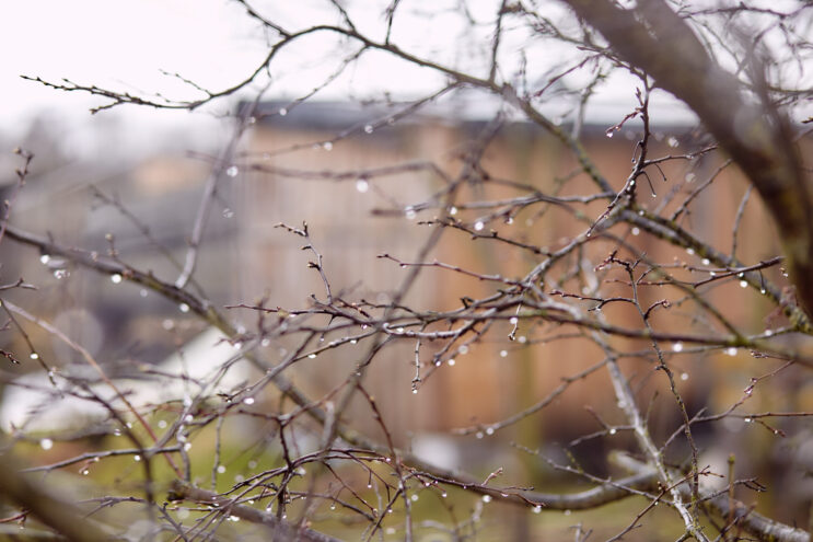 Вместе с похолоданием в Тверскую область придут дожди дожди