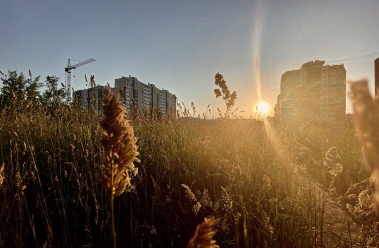 В Тверской области начинается настоящее лето В Тверской области начинается настоящее лето