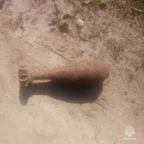 Около деревни в Тверской области обнаружили миномётную мину времен ВОВ Около деревни в Тверской области обнаружили миномётную мину времен ВОВ