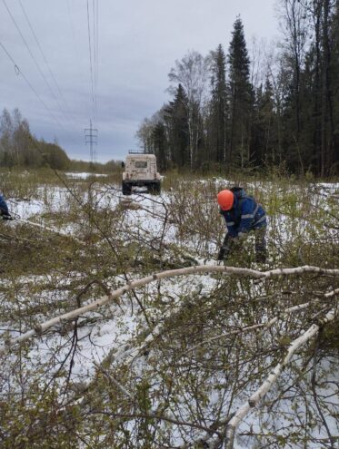 продолжают