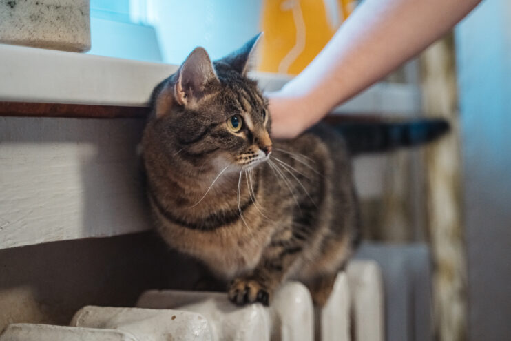 отопительный сезон