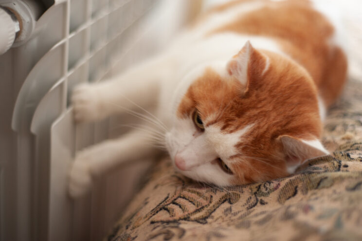 Итоги отопительного сезона и задачи по подготовке к новому осенне-зимнему периоду рассмотрят на заседании правительства Тверской области правительства Тверской области