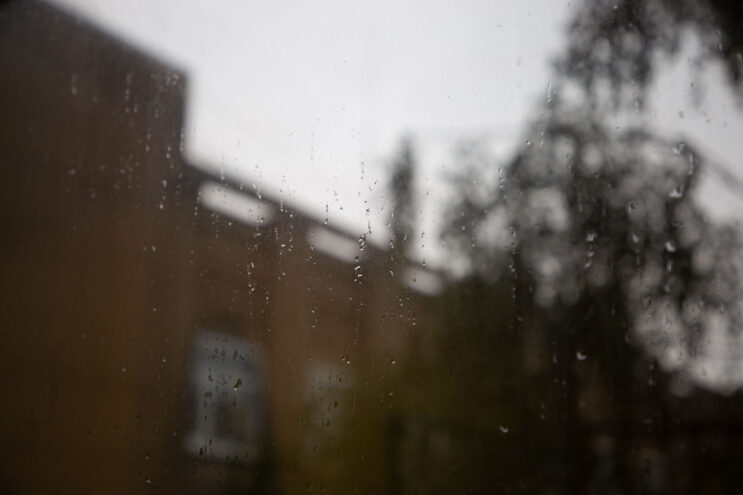 прохладная