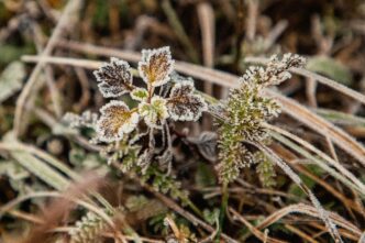 Тверской области