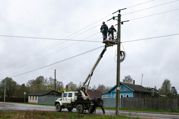 «Россети Центр» реализует экологический проект по защите аистов в Тверской области Россети Центр