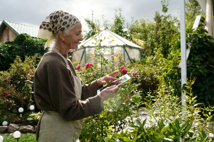 вырос интерес