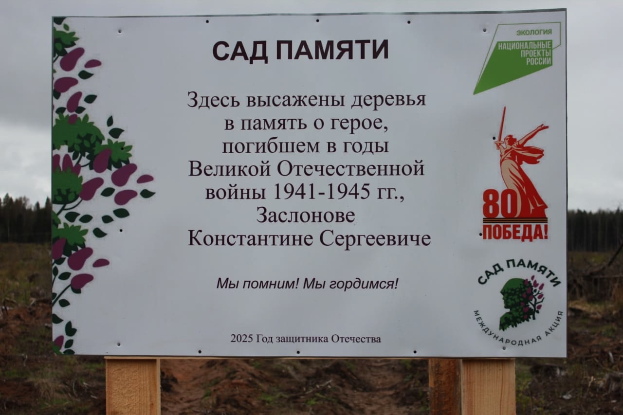 В Осташковском округе высадили деревья в память о погибших в Великой Отечественной войне