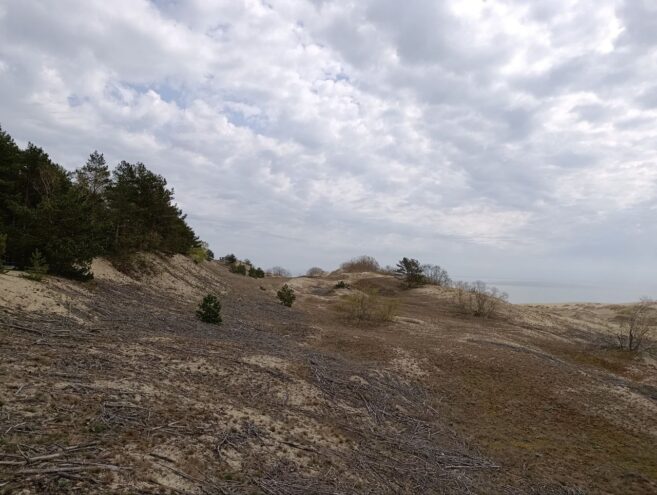 От Калининграда до Находки: МегаФон ускорил мобильный интернет для дачников и туристов МегаФон