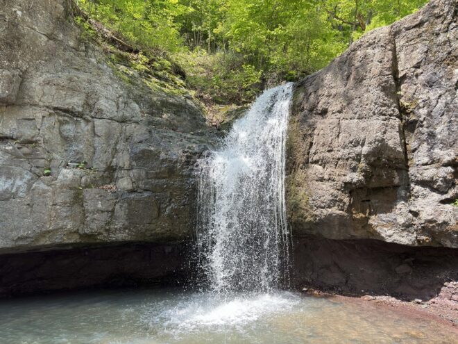 В нацпарке «Земля леопарда» открыта новая экотропа В нацпарке «Земля леопарда» открыта новая экотропа