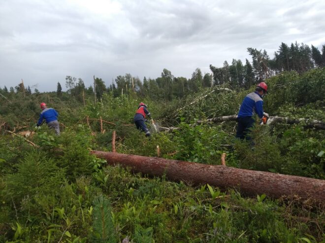 Энергетики «Тверьэнерго» восстанавливают электроснабжение потребителей после шквалистого ветра Энергетики «Тверьэнерго» восстанавливают электроснабжение потребителей после шквалистого ветра