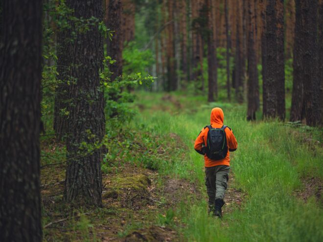 МТС и «ЛизаАлерт» запустили бесплатный сервис для поиска пропавших людей МТС и «ЛизаАлерт» запустили бесплатный сервис для поиска пропавших людей