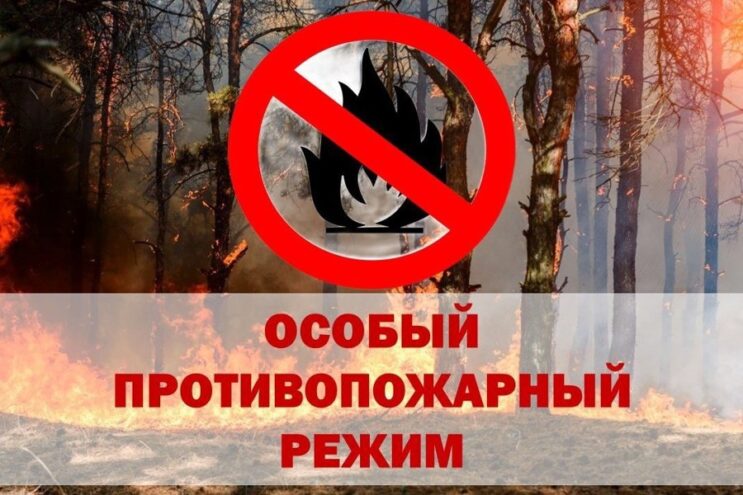 В Ржеве Тверской области введен особый противопожарный режим В Ржеве Тверской области введен особый противопожарный режим