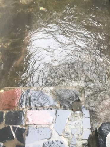 Канализационные стоки затопили частный сектор в Твери Канализационные стоки затопили частный сектор в Твери