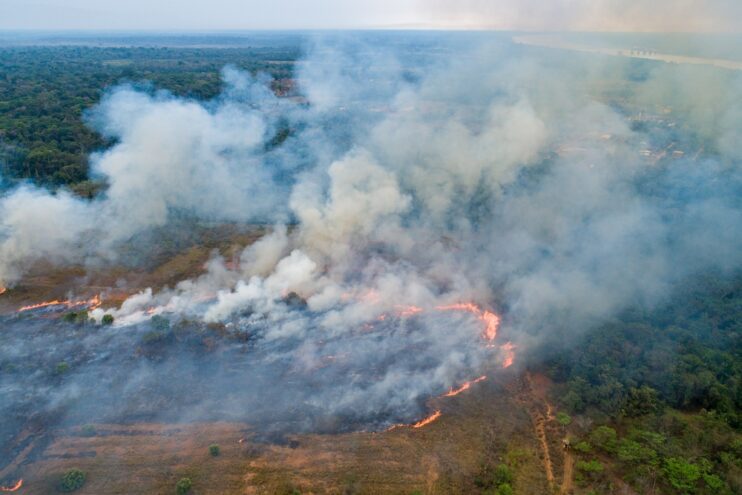 МТС поможет предотвратить лесные пожары в Тверской области МТС поможет предотвратить лесные пожары в Тверской области