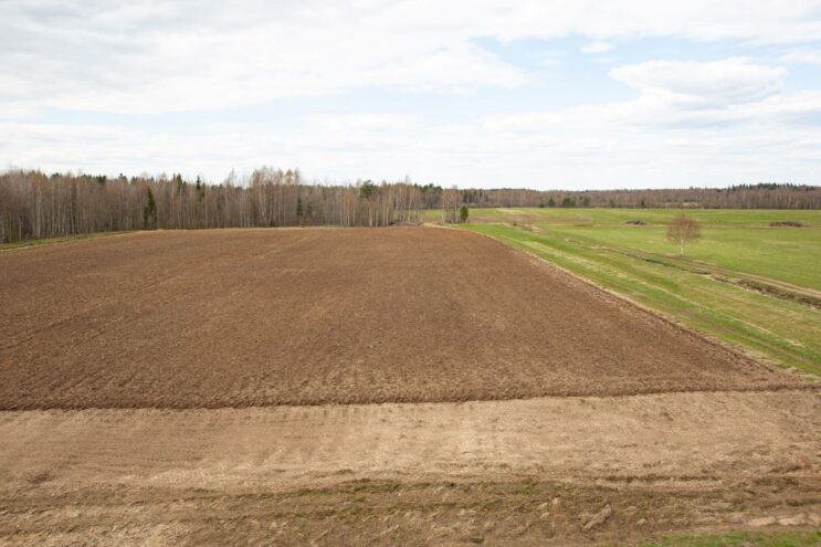 В рамках вовлечения земель в сельхозоборот специалисты филиала разрабатывают проекты культуртехнической мелиорации