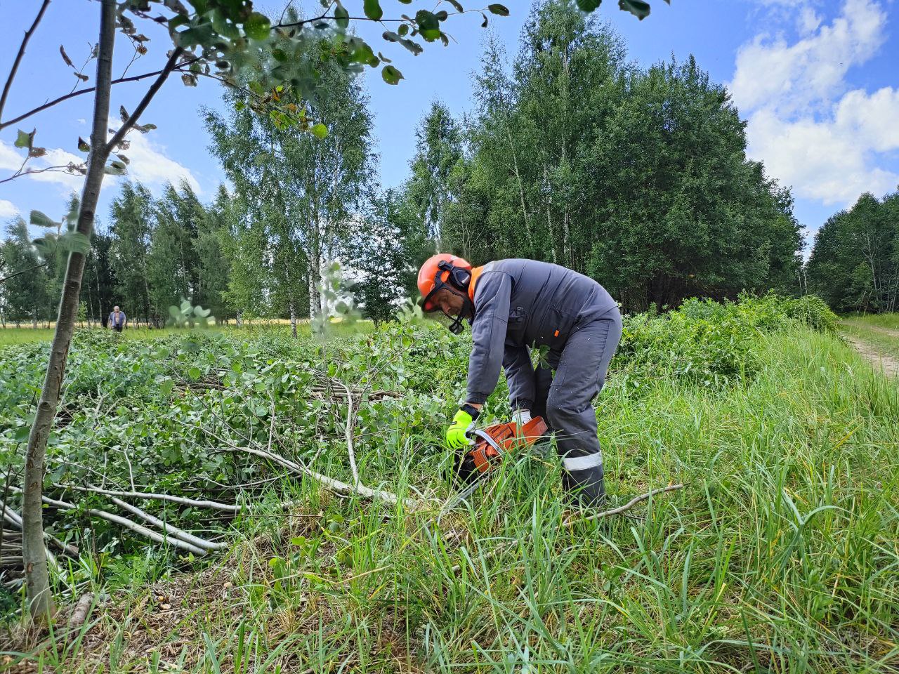 Энергетики тверского филиала «Россети Центр» выполняют расчистку просек воздушных линий всех уровней напряжения