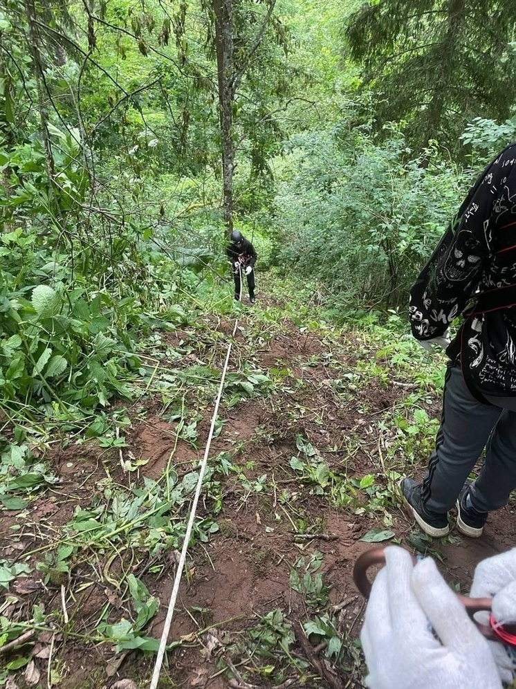 В Андреапольском округе школьники отработали навыки спуска и подъема на веревках В Андреапольском округе школьники отработали навыки спуска и подъема на веревках