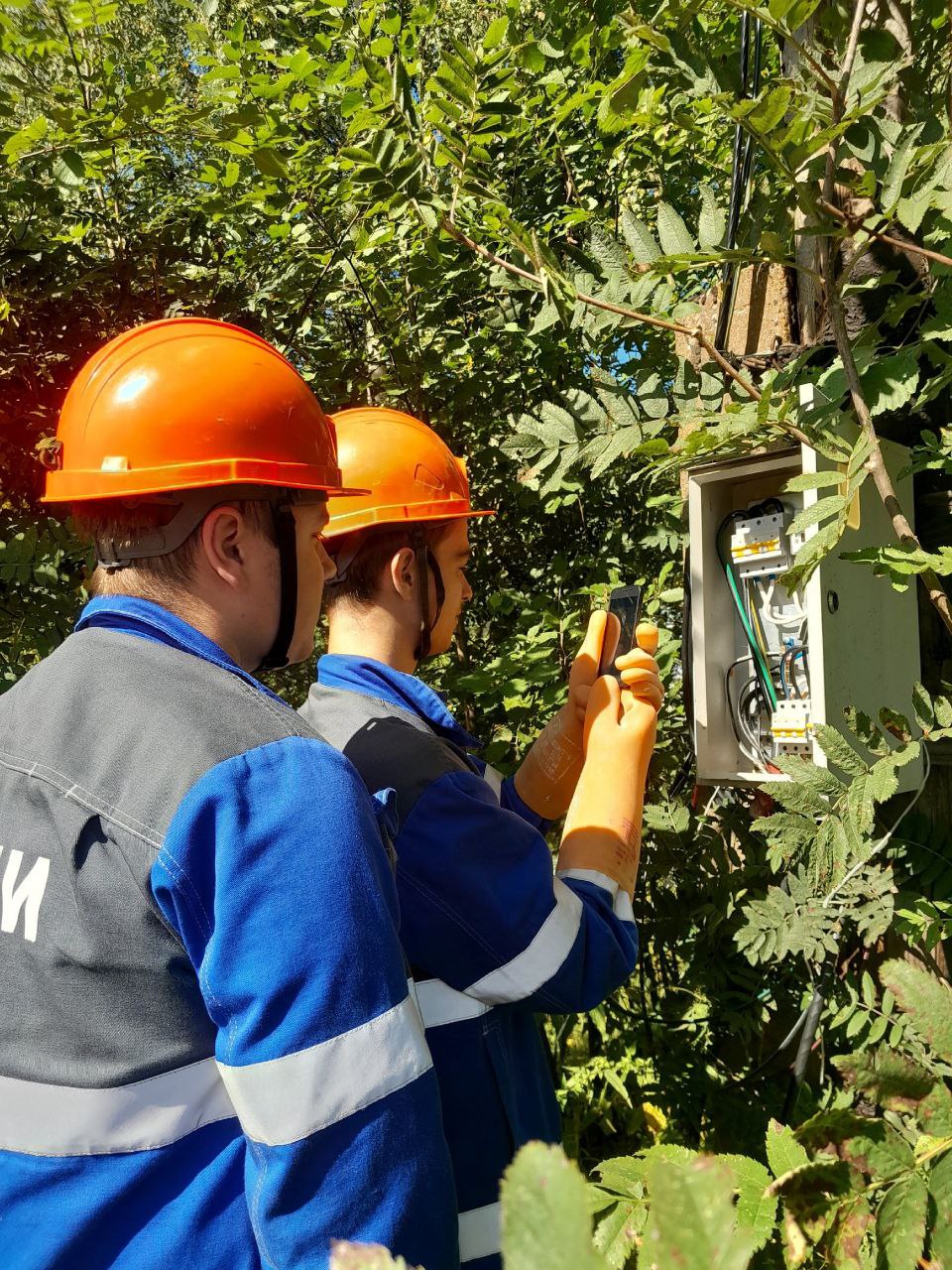 Студенческие отряды филиала «Россети Центр» - «Тверьэнерго» осваивают профессию на объектах электросетевого комплекса Студенческие отряды филиала «Россети Центр» - «Тверьэнерго» осваивают профессию на объектах электросетевого комплекса