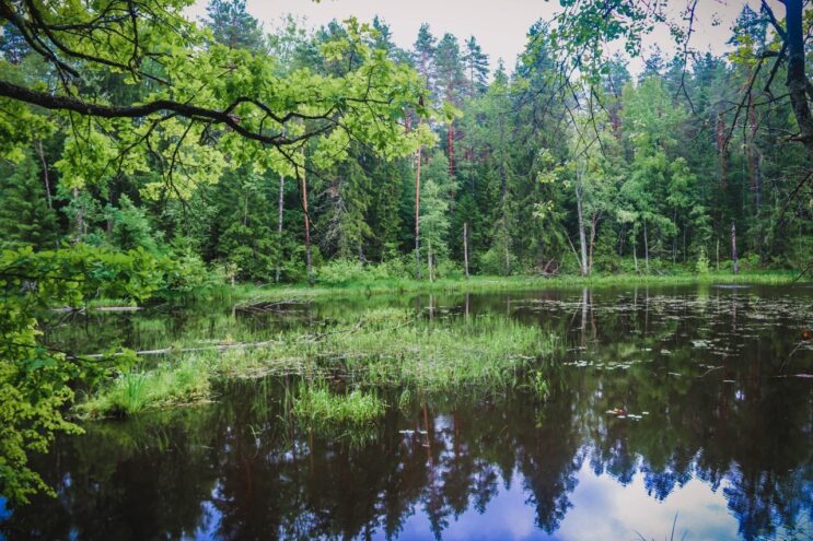 В Тверской области охраняют порядка 1000 природных объектов В Тверской области охраняют порядка 1000 природных объектов