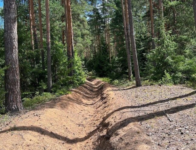 В лесах Тверской области строят дороги и ставят шлагбаумы