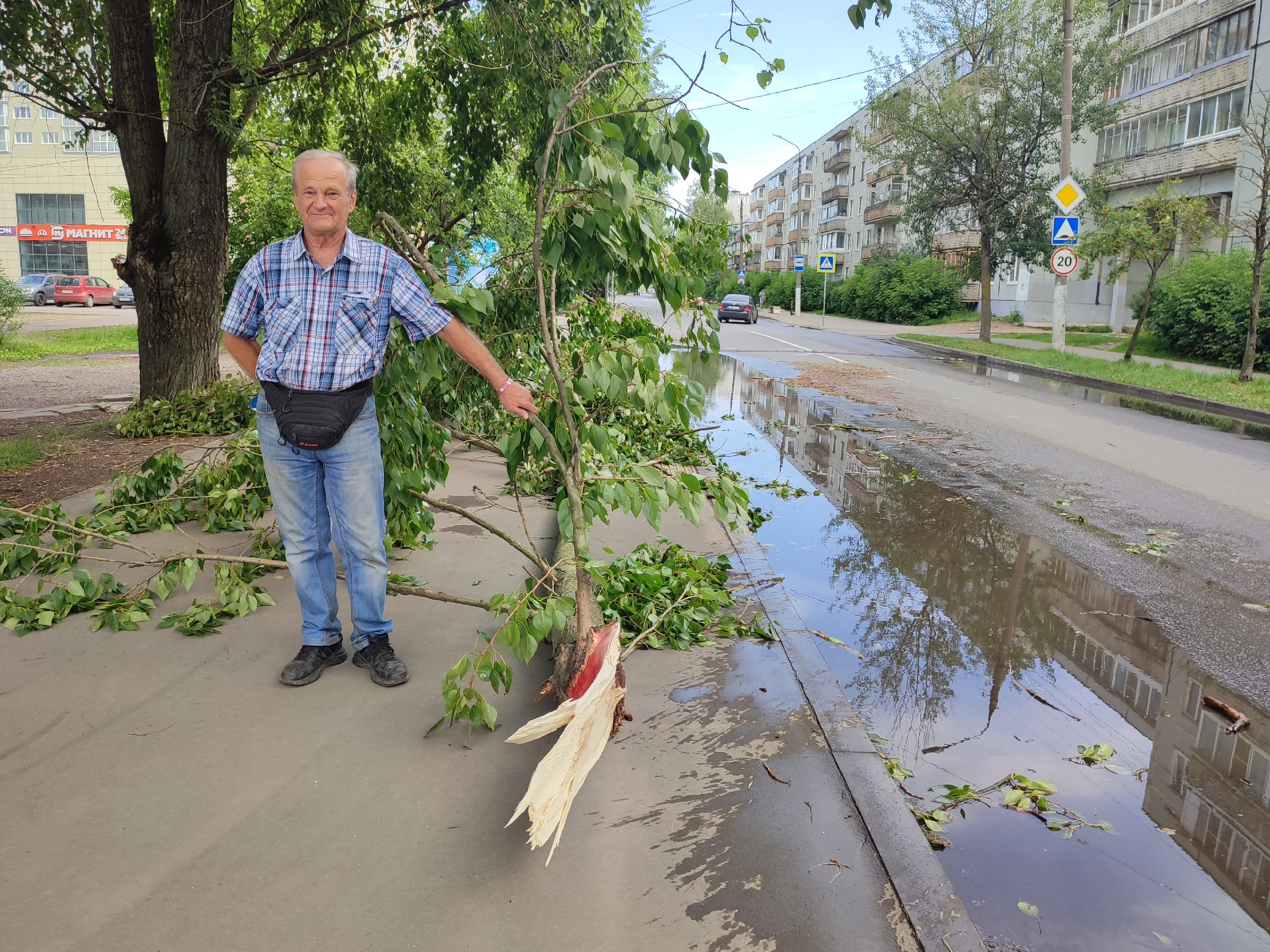 В Твери пожилой мужчина смог оттащить упавший тополь с проезжей части В Твери пожилой мужчина смог оттащить упавший тополь с проезжей части