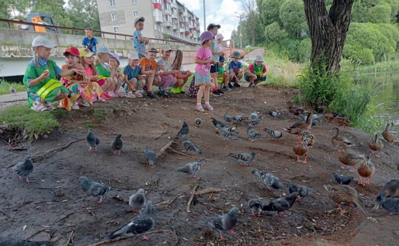 Воспитанники детского сада в Нелидово познакомились с миром птиц Воспитанники детского сада в Нелидово познакомились с миром птиц