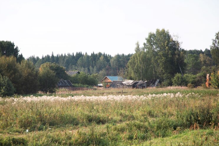Стало известно, когда в Тверской области начнут изымать заброшенные земельные участки