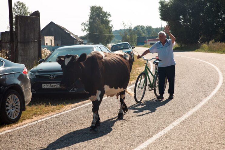 В Тверской области жителей деревень приглашают на съемки кино