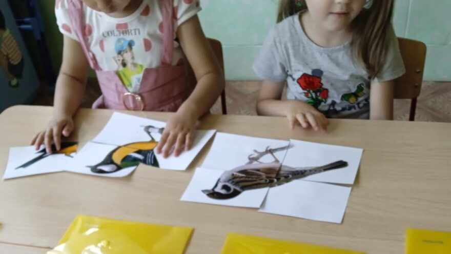 Воспитанники детского сада в Нелидово познакомились с миром птиц