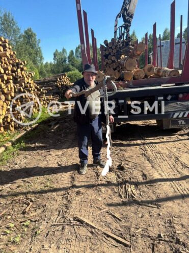 Гигантскую гадюку нашли в Тверской области