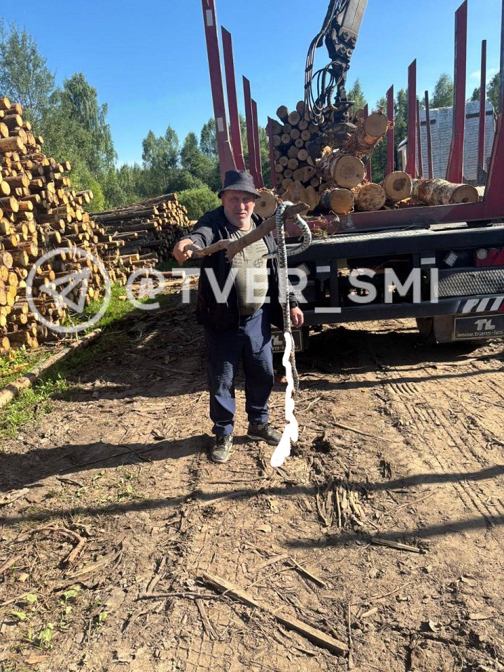 Гигантскую гадюку нашли в Тверской области Гигантскую гадюку нашли в Тверской области