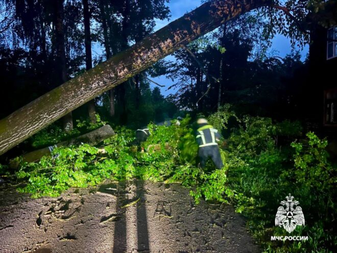 Деревья в Тверской области не выдержали испытания ураганным ветром