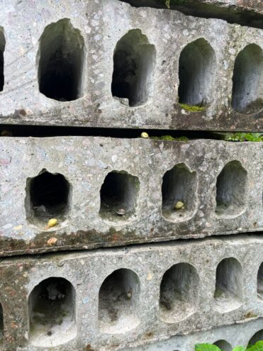 В Тверской области открылся капсульный отель для улиток