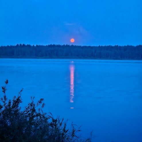 Жители Тверской области могут наблюдать редкое “оленье полнолуние” Жители Тверской области могут наблюдать редкое “оленье полнолуние”
