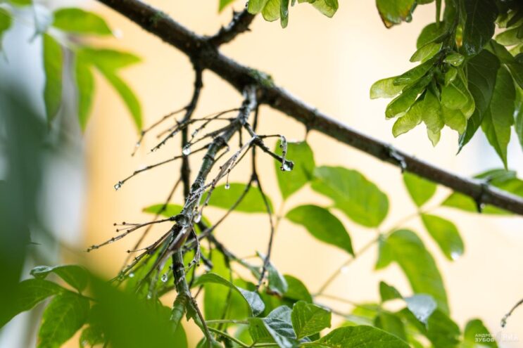 В августе в Тверской области резко похолодает