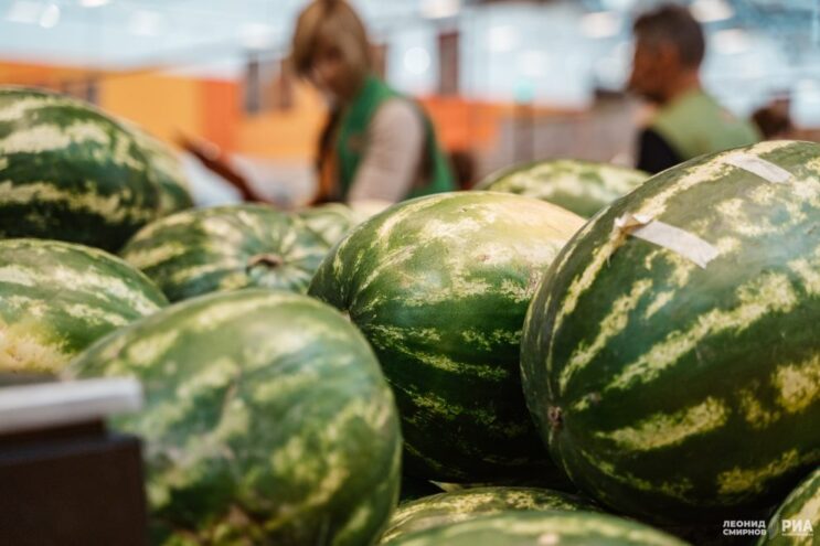 12 мифов и фактов о самой большой и сочной летней ягоде