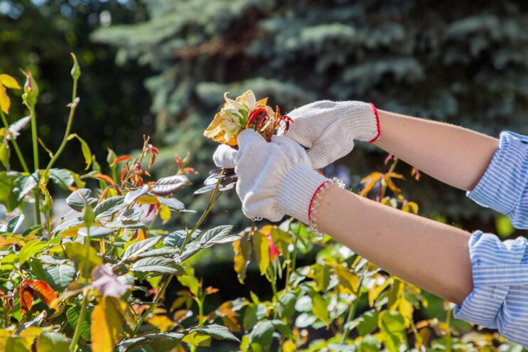 Почти 5 000 школьников Тверской области начали получать первую профессию