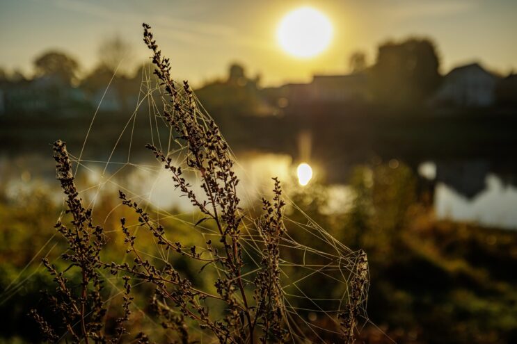 В Тверской области начинается адская жара В Тверской области начинается адская жара