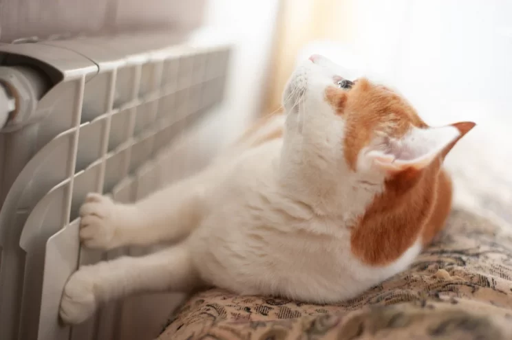 Ресурсоснабжающая компания предупредила о низких темпах подготовки домов к отопительному сезону Ресурсоснабжающая компания предупредила о низких темпах подготовки домов к отопительному сезону